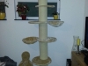 xxl_kratzbaum_007
