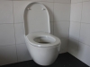 2013-03-08_toilette_montieren_021