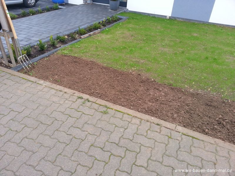 Eine Liguster-Hecke ziert nun das Grundstck.  Wir bauen dann mal ein Haus